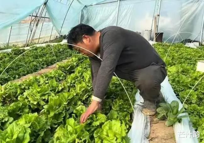 ��������չʾ91����������, �����������, ��ɩ��������Ҫ���ж�(��������������ʵ��Ϣ)