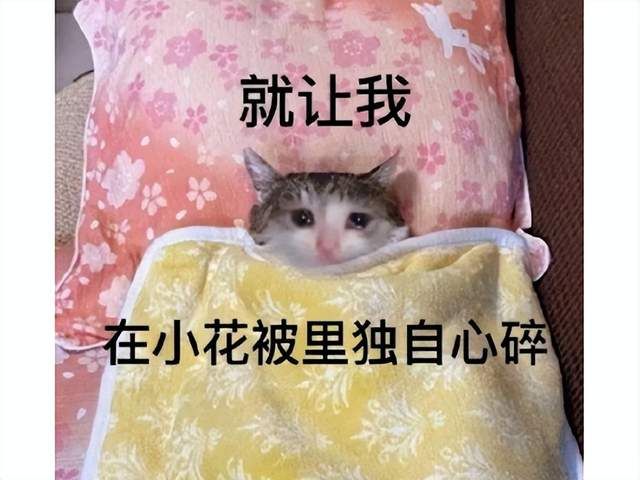 还没等到国服停运，暴雪系主播就开始鼓捣副业，怒亏掉了一栋楼