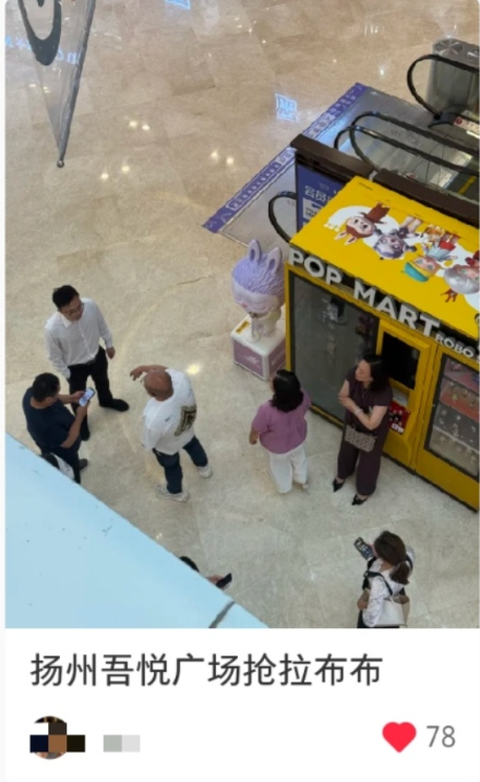 “左右开弓扇耳光、脖子都被打紫”，6名黄牛霸机抢购Labub