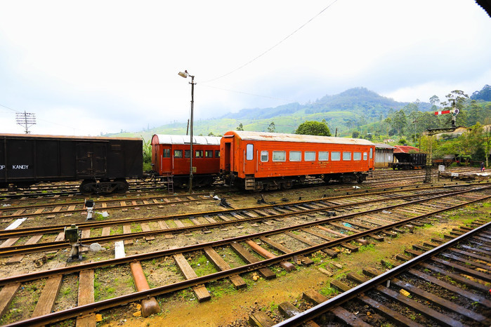 掛火車飛馳在高山茶園