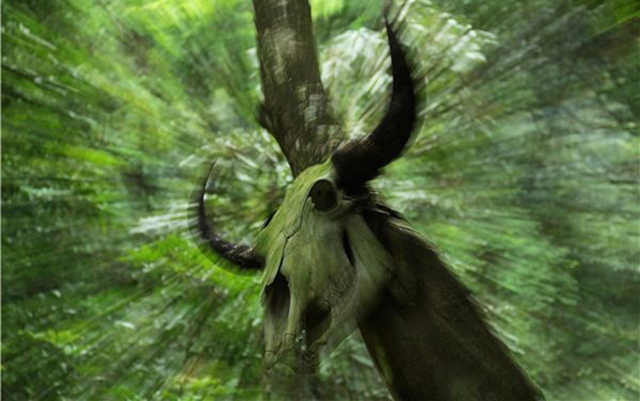 这么神秘的地方, 你敢来吗! ?