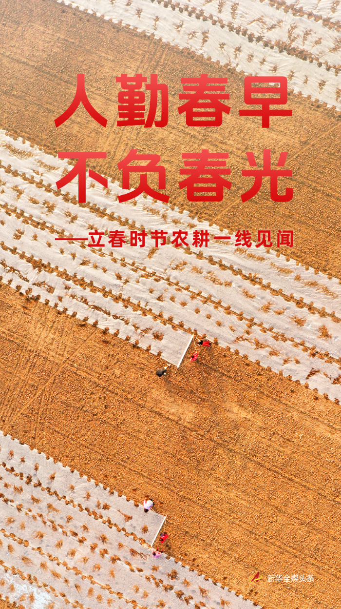 立春春耕正当时：科技赋能农技革新，产业振兴绘新景