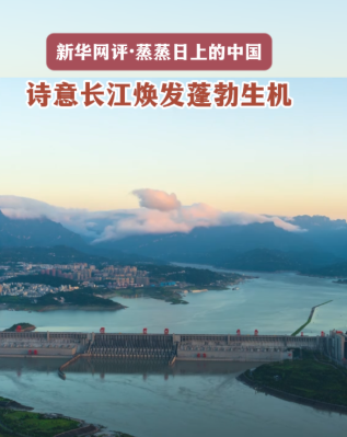 新时代的长江之歌丨诗意长江焕发蓬勃生机