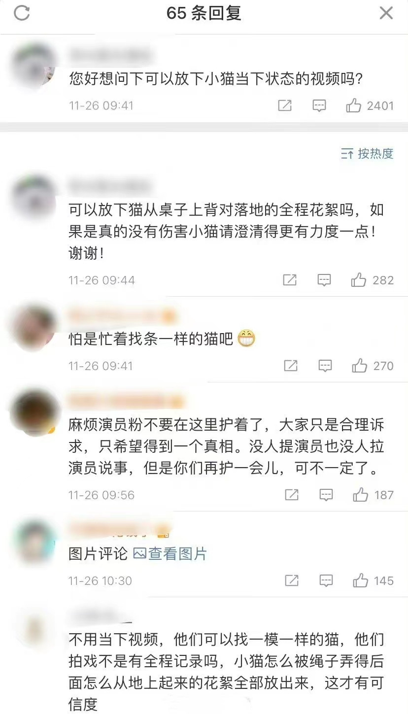 娱评人吴清功：《当家主母》剧组再发声，主人透露猫咪一直很健康- 全网搜