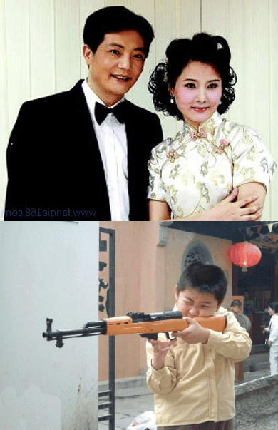 54岁冻龄美女何赛飞全家近照, 为事业婚后十年产子, 18岁儿随母姓