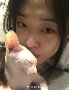 雪莉视频虐猫引争议, 外网评论一片骂声, 再度发文回应