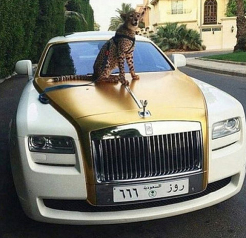 土豪父母社交网站疯狂炫富引热议