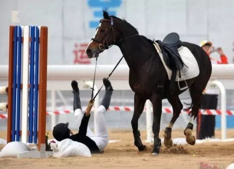 别忘了还有它们! - 微信奴