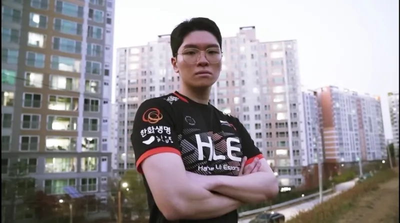HLE目前上中下三个位置已公布，你觉得野辅可能是?