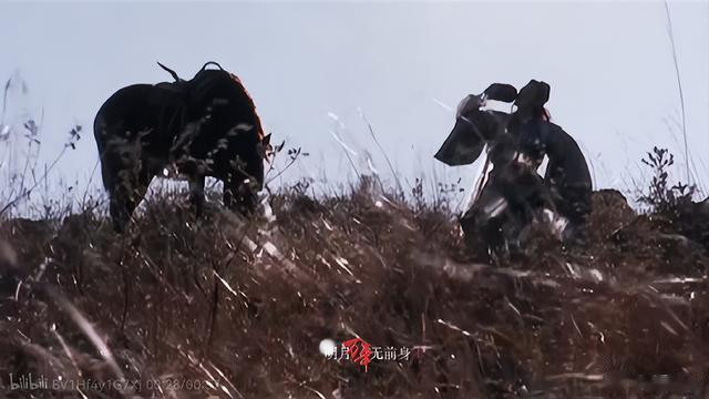 ���ϴ����ⲿ����, ���ִ���˧��, ����һȺ�ŵ�˧��, ��������(���Ӿ��ϴ�������)