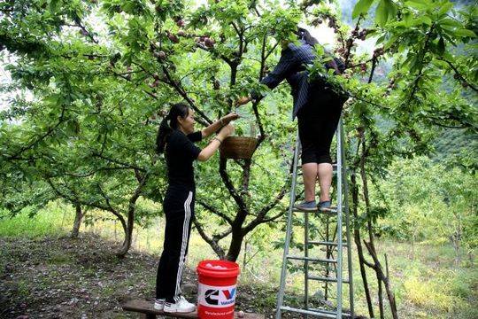 以行动书写忠诚--图记阿坝州纪检监察干部抗震救灾