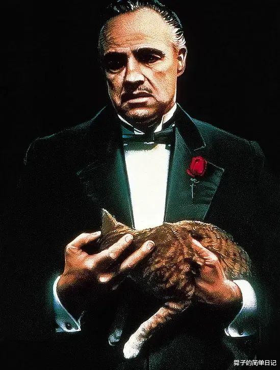 �г߶�, �����, �ⲿ������ڰ��Ӱ���鿰�ȡ��ղ�����(�����,�ڰ��Ӱ,����,�ղ����ĵ�Ӱ)