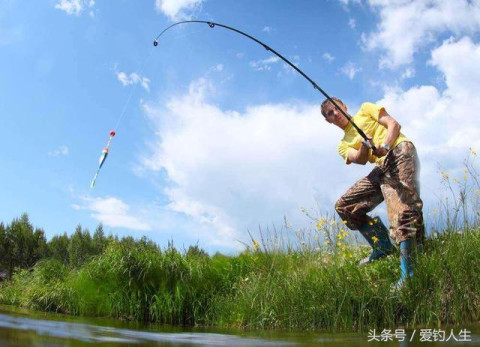 这么奇葩的诱鱼方式你见过吗?