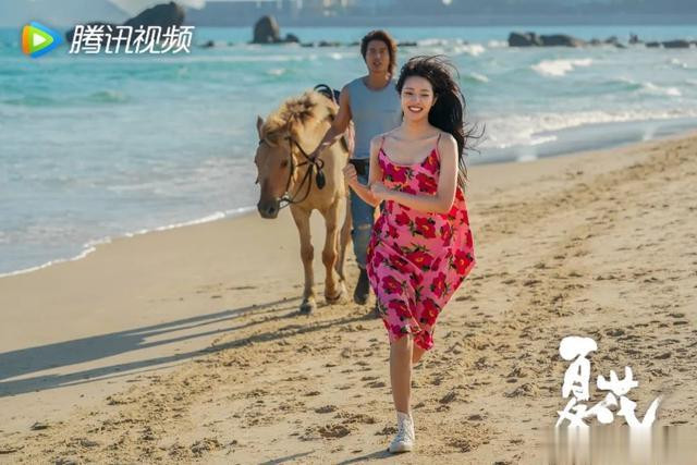 追了《夏花》, 更想旅行了!