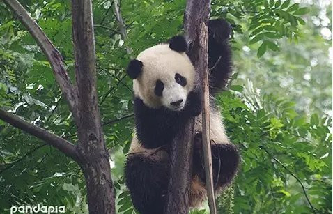 昨晚我們離開動物園的時候,