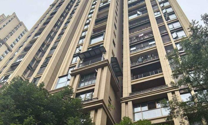 12分钟遛狗致2岁子坠亡，父称等判决：为何河南妈判刑重庆爸不立案