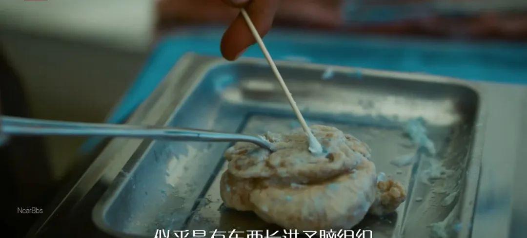 一集入坑、五集惊吓, 这惊悚大剧太顶了(鲸鱼 垃圾)