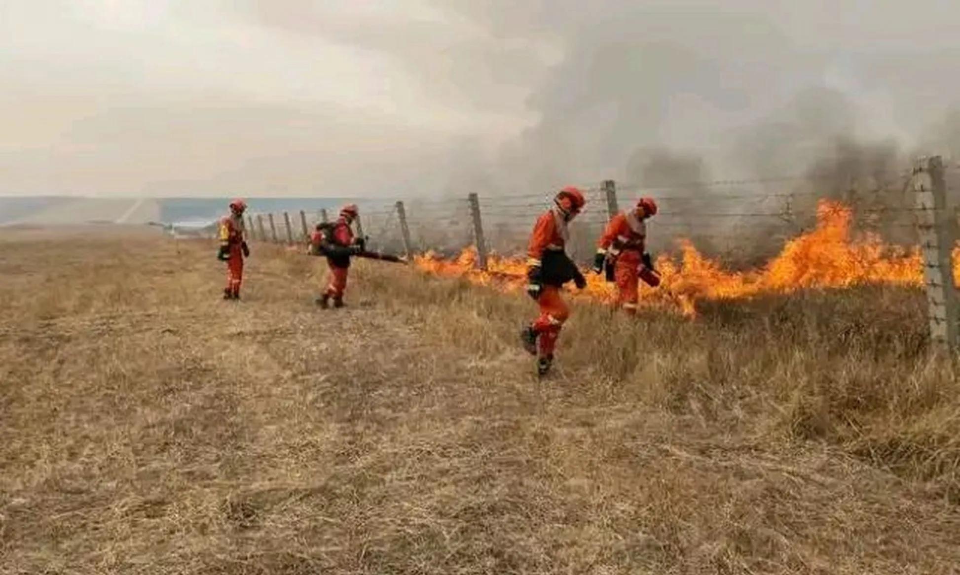 蒙古大火真相藏不住了：不是考察是钓哲罗鲑，日企声明全是幌子