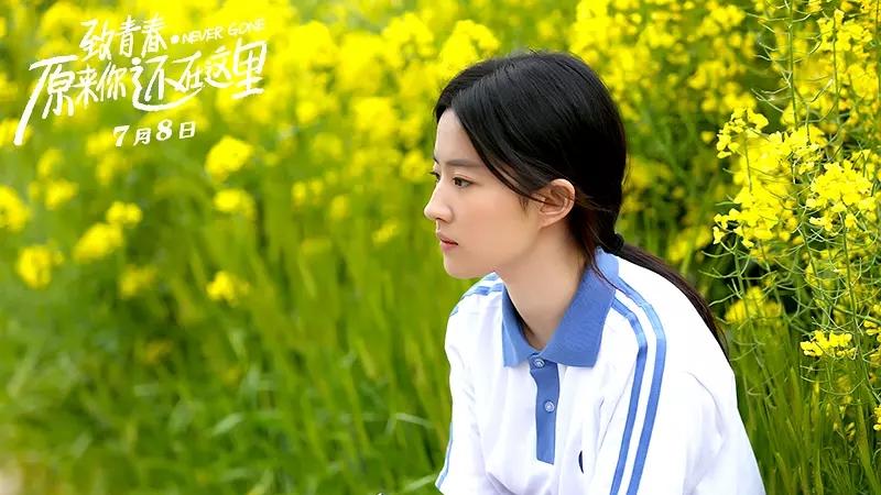 刘亦菲出演的五大烂片, 没有最烂只有更烂, 希望你一部都没看!