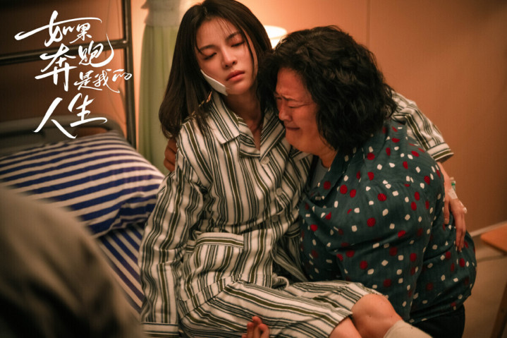 2024����½��������TOP10!