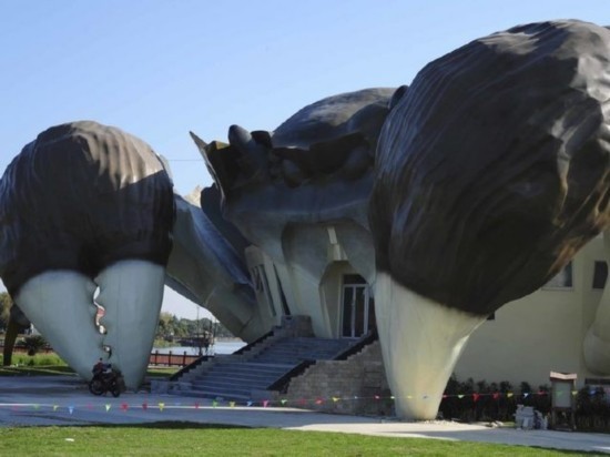 江苏省昆山市巴城巴解园内的东阳澄湖岸边现身一只"超级大闸蟹"