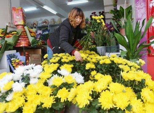 清明时节菊花热销 文明祭扫送花适宜