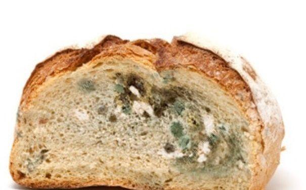 发霉的食物