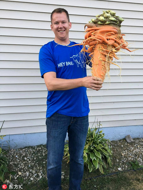 美国男子种出10公斤巨型胡萝卜打破世界纪录