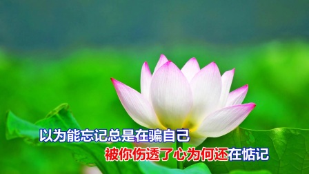 打开 打开 孙艳一首伤感情歌《有谁能懂我的心》好听极了 打开 一首