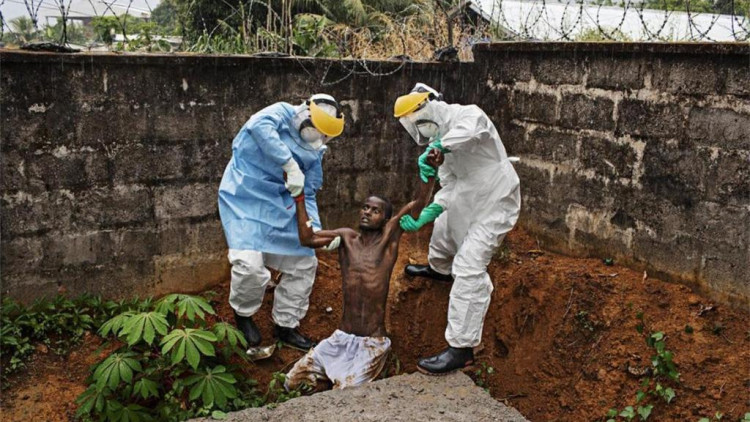 世界上最可怕的病毒,死亡率90%,目前没有解药!