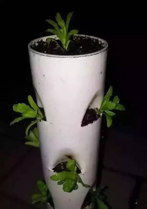 阳台种菜神器! 让全家人吃上放心菜!