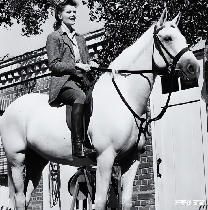 ��ɪ�ա��ձ�: ������Ů��, ����26���鸾, 4���˹��, ȴ�Ӳ��콱