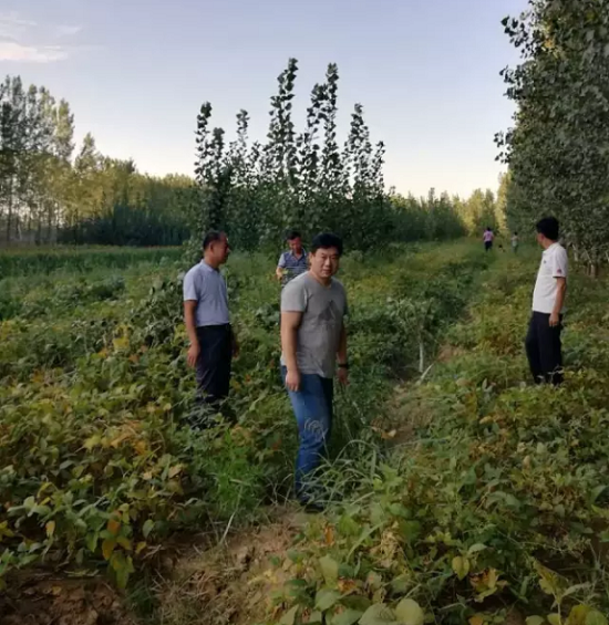 高密市醴泉街道三张清单治“八乱”, 保障“清河行动”实效