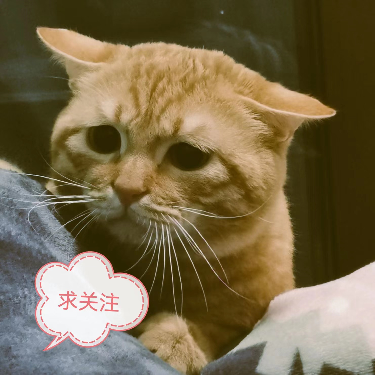 ������������֮������Щ�վ�ֵ�ù�ע?(�ձ���������С˵)
