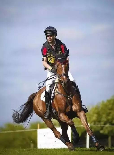 京城国际- - 微信奴