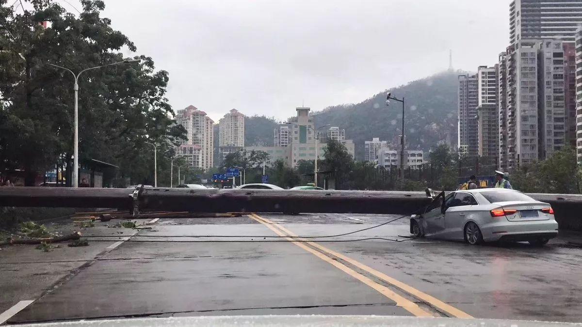 奥迪“空手接白刃”! 强悍德系车救车主一命!