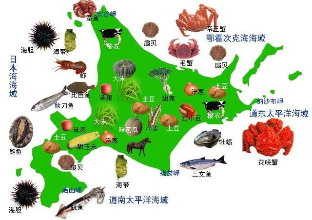 渔业资源丰富:北海道渔场位于日本暖流与千岛寒流交汇处,由于海水密度