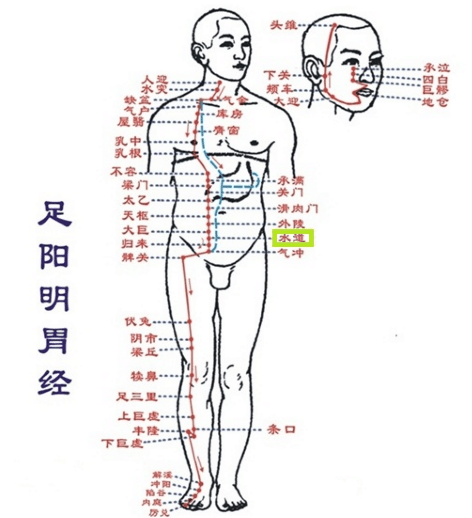 胃經:讓你臉色白裡透紅