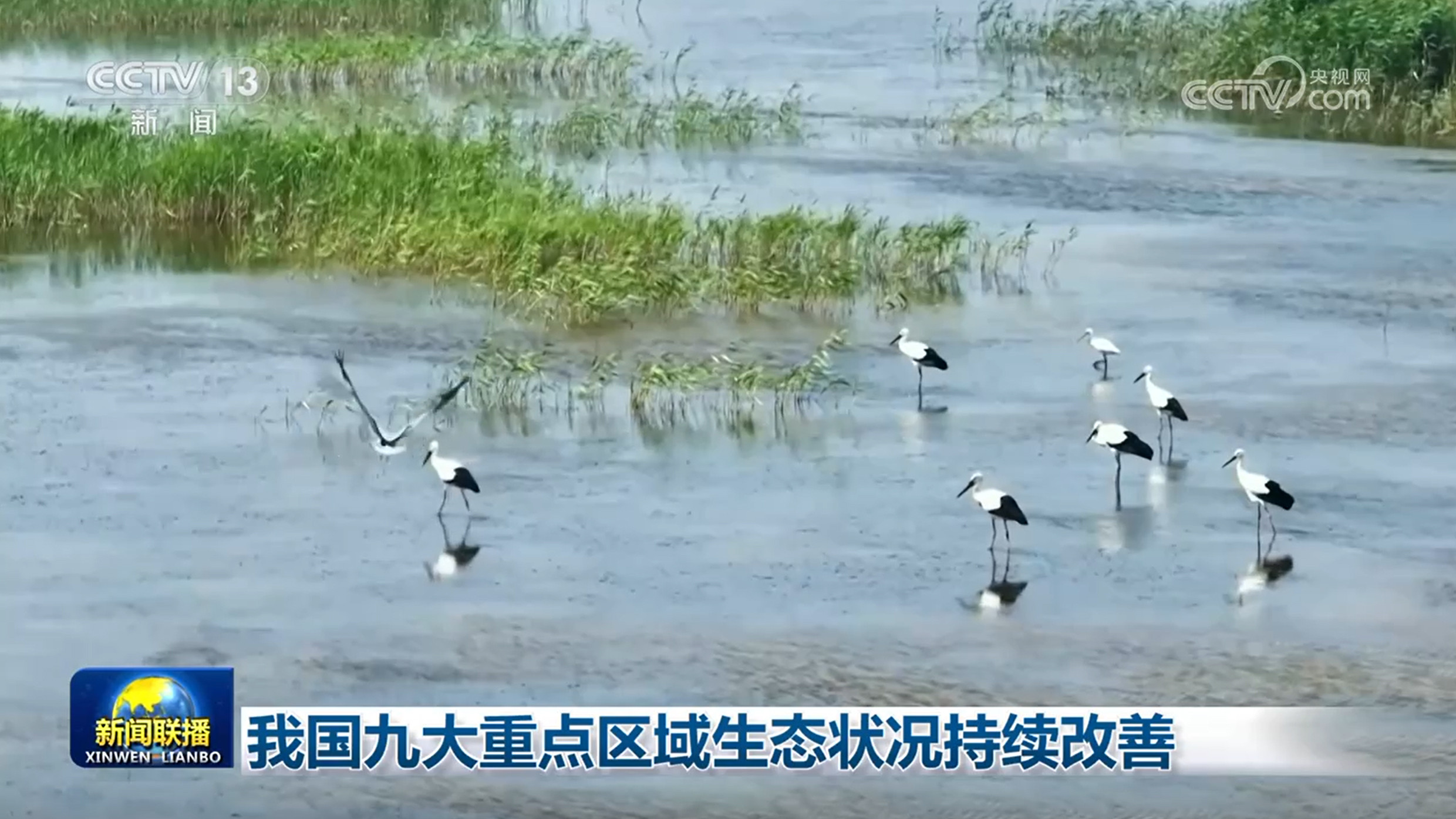 我国九大重点区域生态质量稳步提升