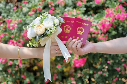 结婚数涨10.8%真相：跨省通办盘活存量，并非意愿反转