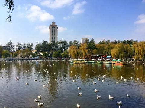 柳湖公园