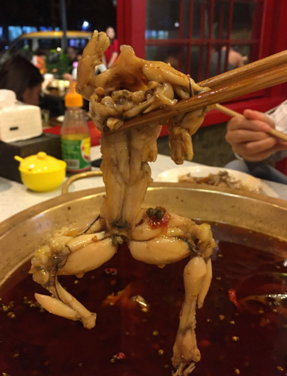 贯彻"一道菜主义", 成都这些饭馆儿一招鲜吃遍天 - 微信奴