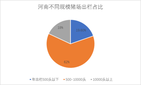 养猪谁最强 当属河南!