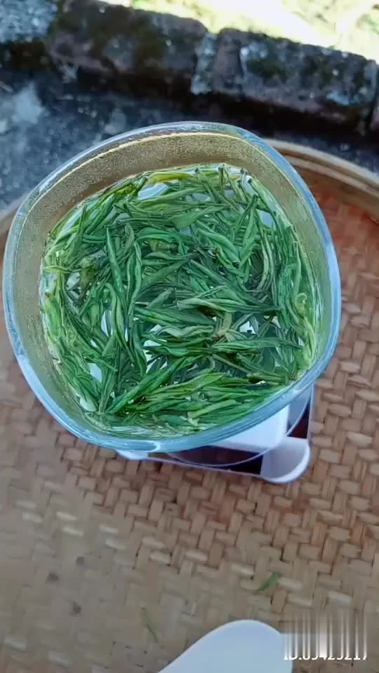 叶放说茶:白茶 131