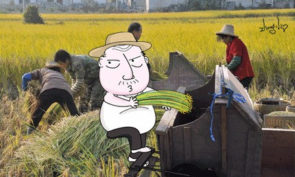 虽然解放了手,但全靠脚力,手脚灵活,配合到位,以后打谷子之前要去跳跳