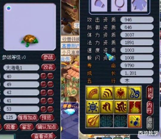 梦幻西游: 70级装备价值60W, 全服第一的宝宝, 新出双蓝字无级别