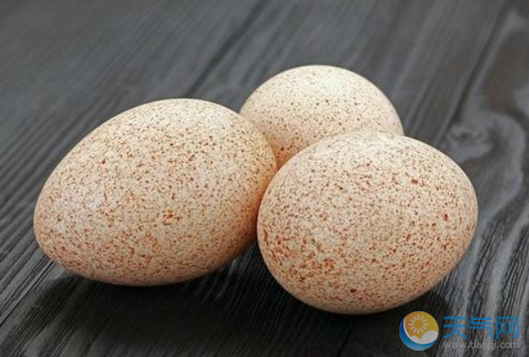 火鸡蛋的营养价值分析 火鸡蛋的吃法介绍