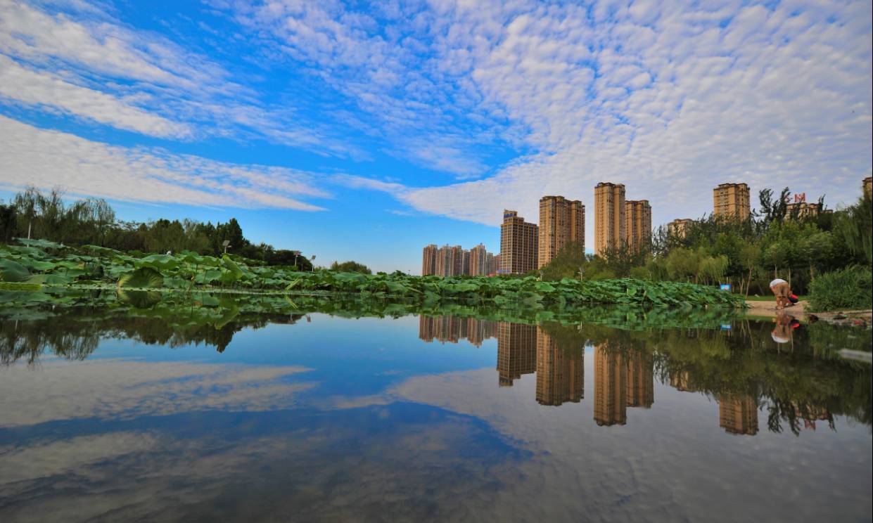 赵王河公园 秋天的赵王河公园,景色各不同.