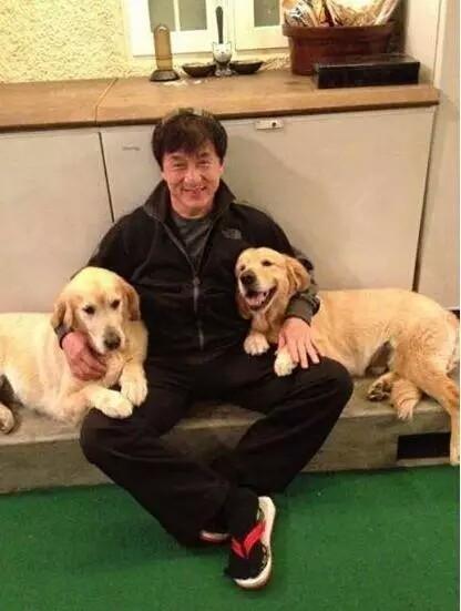 成龙的爱犬长大啦! 过年会给他们发红包, 真让人羡慕