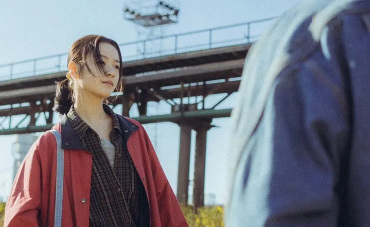 2023年度评分最高的十部电视剧, 《繁城之下》8.5评分仅能排第十(繁花之下原著)